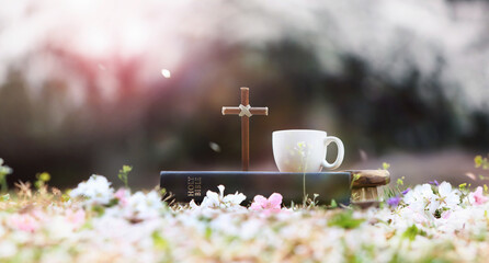 Spring background with the cross of Jesus Christ, the Bible and a teacup on a flower path in front...