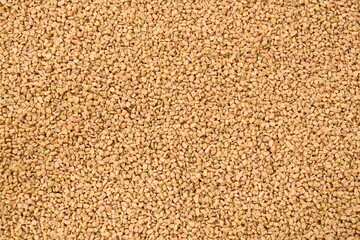 Top view of Fenugreek seeds (methi dana, hulba, heyseed, dari) background texture.Food background.Close up texture Pro Photo. Fenugreek background.