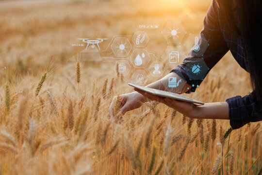 Farmer using digital tablet computer and modern interface icons with light shines sunset, Business agriculture technology concept.