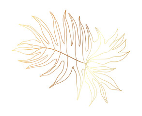 Gold monstera leaf illustration