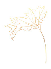 Gold monstera leaf illustration