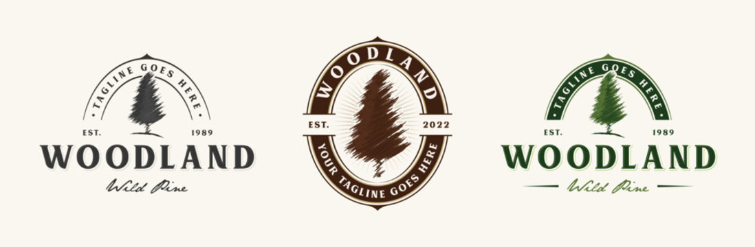 Pine tree logo emblem set. Tree logo badge vintage rustic vector design isolated