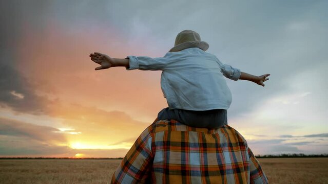 Back view of dad and baby boy in wheat field. Child in straw hat sits on shoulders of parent and spreads his arms apart in sense of freedom. Beautiful landscape of natural landscape at sunset. Family.