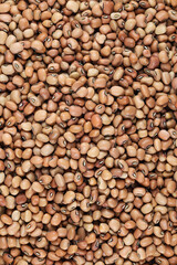 Brown cowpeas, (Brown crowder peas, Yunakesa Brown Crowder Cowpea, Dixie Lee Pea)