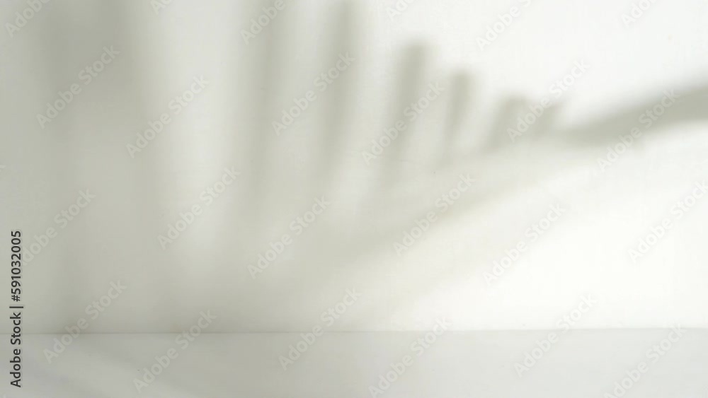 Poster calm and minimalist leaf shadow overlay animation