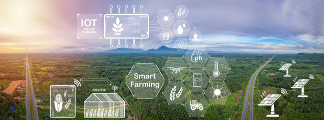 Views of a community area filled with forests and two roads developed with technology for the environment and solar energy.