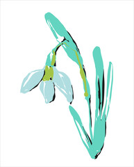 Hand drawn snowdrop. Blue spring flower. Vector illustration. Crocus for the design of postcards, websites, printing.