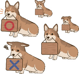 看板をくわえるコーギー（断尾、セーブルホワイト）