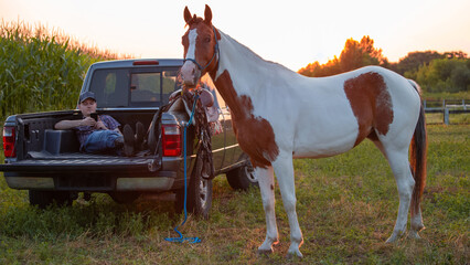 Western pinto horse grazes in the pasture. The farmer is resting in the back of a pickup truck and looking in mobile phone. The mare is on a rope. Western ammunition and saddle. - obrazy, fototapety, plakaty