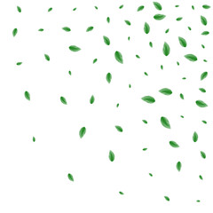 Greenish Leaf Background White Vector. Plant Subtle Design. Growing Illustration. Light Green Abstract Texture. Leaves Spring.