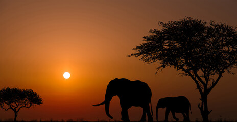 Fototapeta na wymiar Silhouettes of african wild animals at sunset. Evening in African savanna.