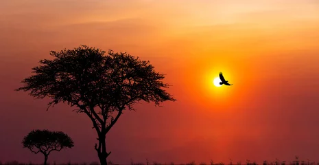 Gordijnen Silhouettes of african wild animals at sunset. Evening in African savanna. © Sergey Fedoskin