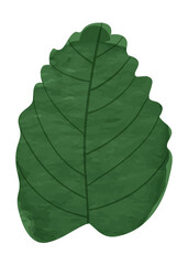 Watercolor herbal leaf branch