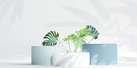 podium for product presentation. Natural beauty pedestal, relaxation and health, 3d illustration