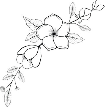 How to Draw Flowers of Simple Designs | Flower drawing, Flower sketches,  Cartoon drawings