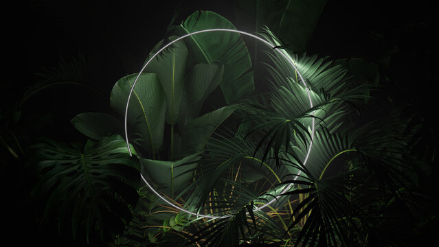 Cyber Background Design. Tropical Leaves with White, Circle shaped Neon Frame.
