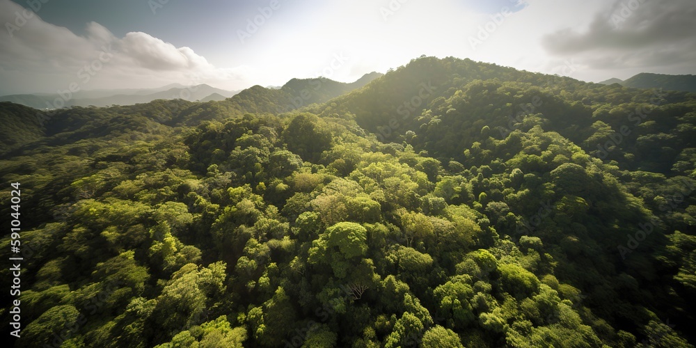 Poster A view from a height of a mountain peak with green trees in the fog.Aerial view. Panoramic shot. Generative AI