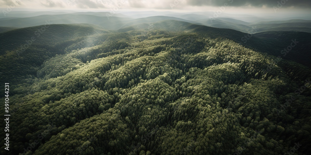 Poster A view from a height of a mountain peak with green trees in the fog.Aerial view. Panoramic shot. Generative AI