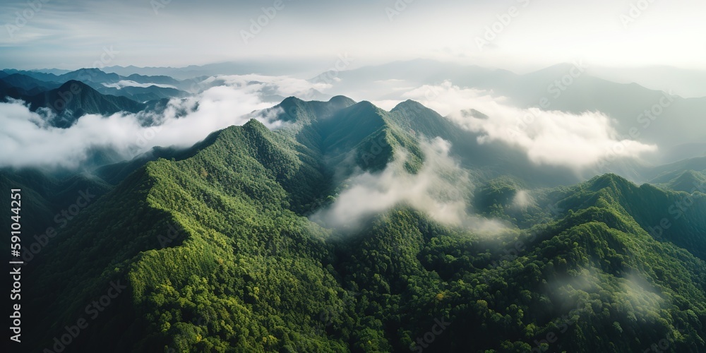 Poster A view from a height of a mountain peak with green trees in the fog.Aerial view. Panoramic shot. Generative AI
