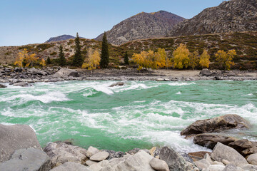 The Ilgumensky thresholds on the Katun river in autumn. Republic of Gorny Altai, Russia