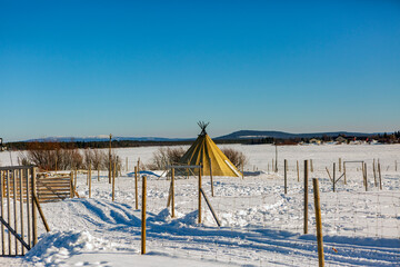 Sami village in Kiruna in Sweden. Lapland with reindeer and huts