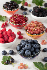 Summer vitamin food concept, set of various berries - blueberry, raspberry, blackberry, red white and black currant in bowls