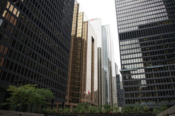 Fototapeta premium Amazing skycrapers in Toronto Downtown. Ontario, Canada.