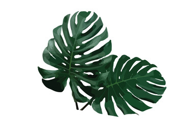 Vector watercolor of blooming tree top view isolated on white background for landscape plan and architecture drawing, elements for environment and garden,botanical elements ,blooming flowers in spring