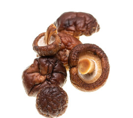 fresh shiitake mushrooms on white background