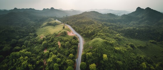 Bird's-eye view of the road in the middle of the forest.Aerial view. Panoramic shot. Generative AI - obrazy, fototapety, plakaty