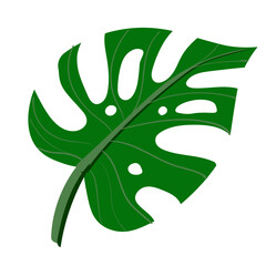  leaf vector
