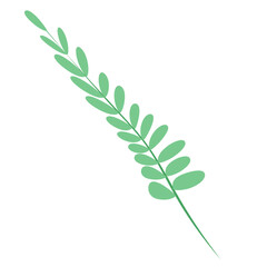  leaf vector