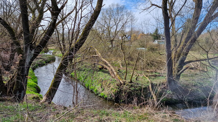 Meanders of Dzierżęcinka river in spring time