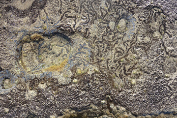 Background of lava stone of Canary island Lanzarote