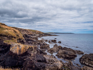 Picturesque Irish seaside landscape. Wild vegetation grows on stony soil. Cloudy sky over the ocean coast. Views on the wild Atlantic way, hills.