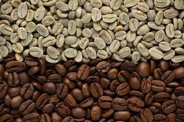 Raw and roasted coffee beans. Different degrees of roasting coffee beans