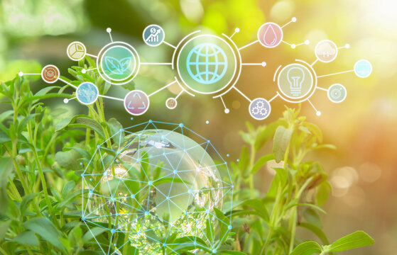 Crystal glass globe on green bush with virtual screen icon. Green & Eco environment, conservation. World environment day. Global business for sustainable development. Nature and ecology concept.