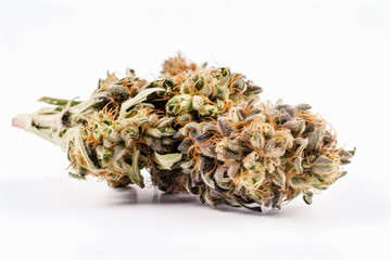 The Beauty of Cannabis: A Stunning Close-Up of a Sativa Bud on a White Background