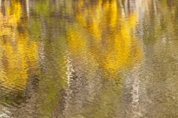 Trees with yellow foliage reflected in the waters of a calm lake on an autumn day