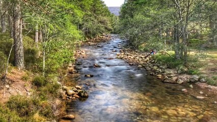 Fototapeta na wymiar Beautiful view of a river flows over rocks through the woods