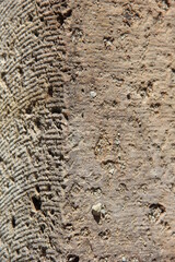 岩石/人為的に削られた痕跡のある表面