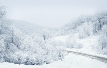 Scenic view of a rural forest landscape in winter covered in white snow