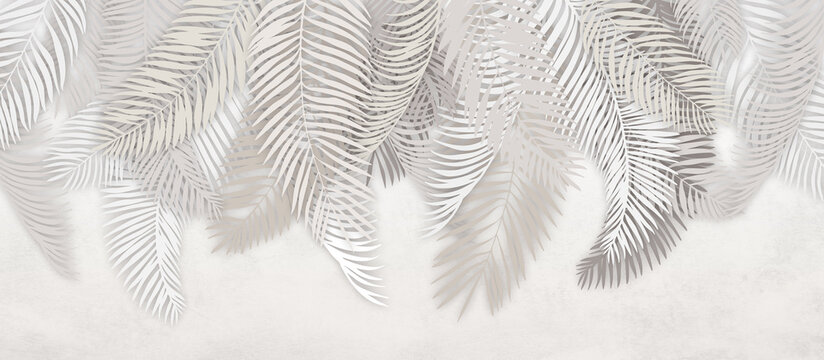 wallpapers. Palm leaves. background of palm leaves.