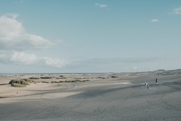 Amazing desert view of colorful contours of sand dunes