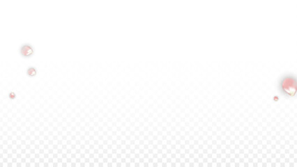 Pink Vector Realistic Petals Falling on Transparent Background.  Spring Romantic Flowers Illustration. Flying Petals. Sakura Spa Design. Blossom Confetti. Design Elements for Wedding Decoration.