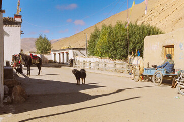 Tibetan village