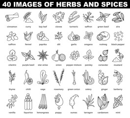 Spices and herbs black and white icons set. Delicious food ingredient