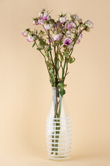 Dried spray rose in a vase on a beige background. Loss of strength, love has passed, the end of life, depression.