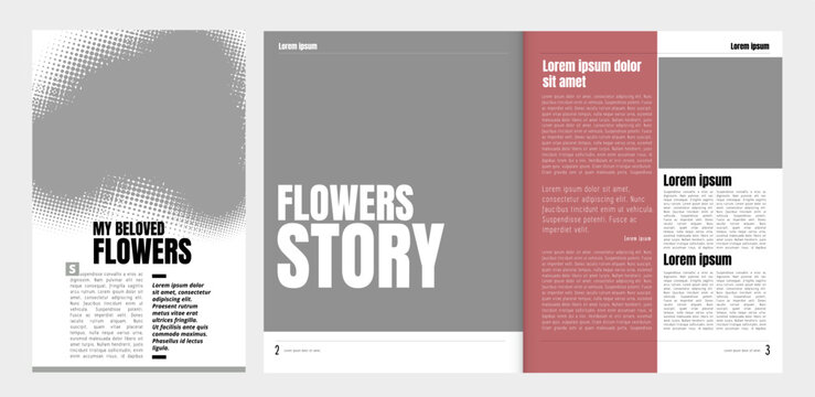 Brochure, ebook or presentation mockup ready for use, vector illustration easy to editable