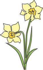 One single line drawing of beauty fresh narcissus for garden logo. Printable decorative daffodil flower concept for wedding invitation card. Trendy continuous line draw design vector illustration